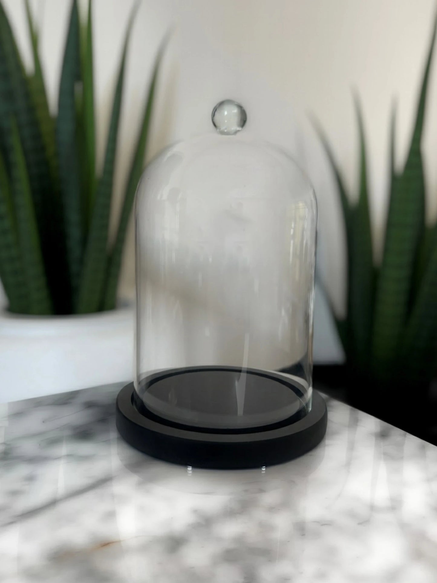 Campana di vetro con base in legno