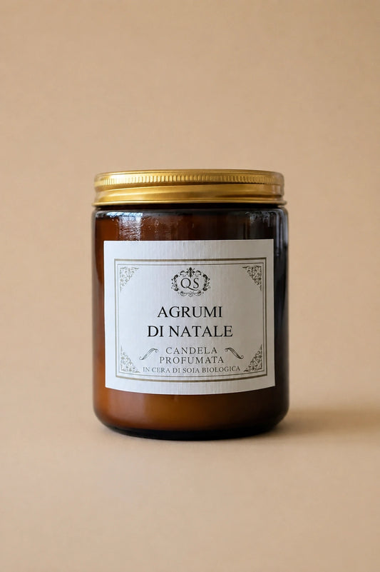 candela cera di soia di natale agrumi e spezie