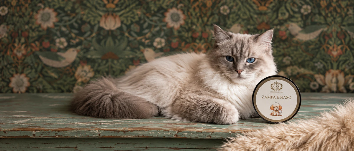 Prodotti per igiene e cura degli animali