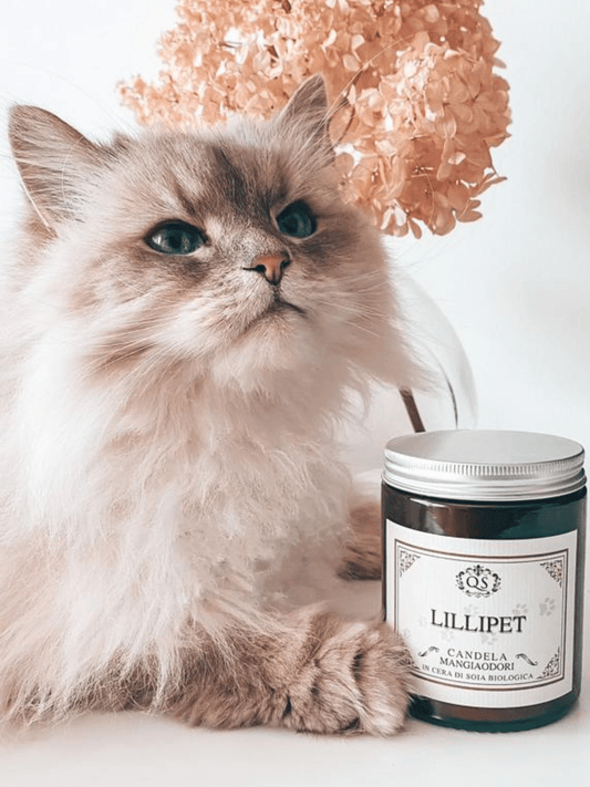 Lillipet - Pet's friend